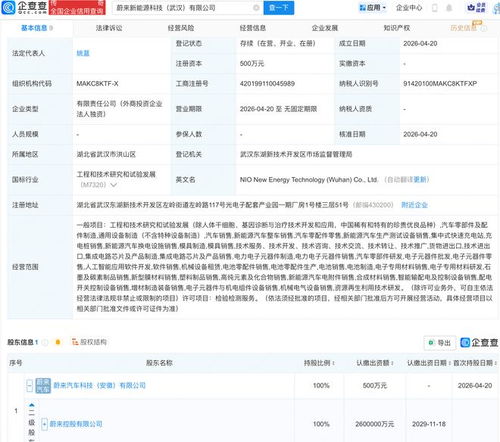 蔚來武漢布局新篇章 成立新能源科技公司，深化AI與軟件開發